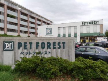 格安で植木 花束が買える 渡辺生花店 よみうりランド駅前 Noborito Blog